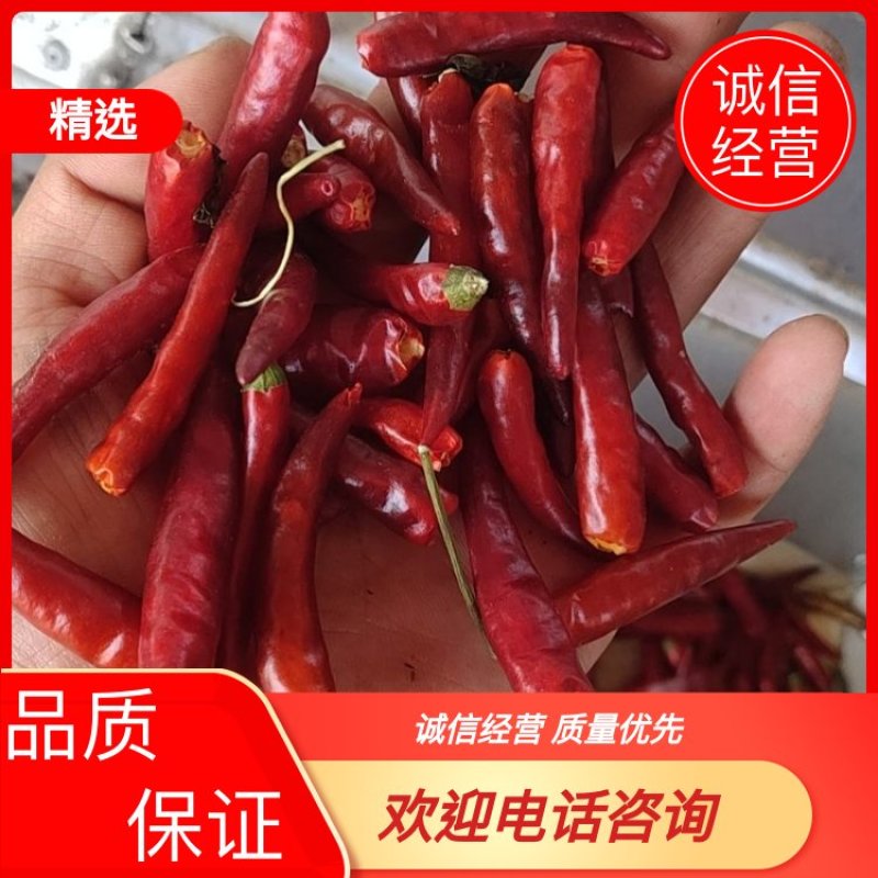 安阳内黄高辣品种干辣椒货源充足，品质保证诚信经营