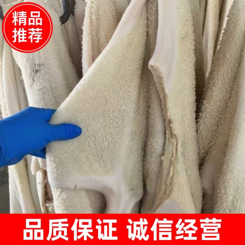 水退半成品全牛肚，全国发货，量大从优，诚信经营，欢迎来电