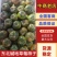 东北碱地草莓柿子，量大质优，供货稳定，欢迎电话联系。