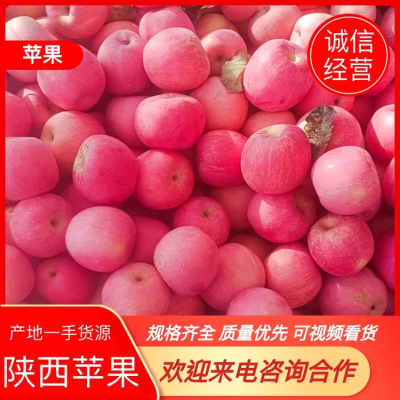 嘎啦苹果陕西礼泉纸袋膜大量上市，个大色好，可以视频看货