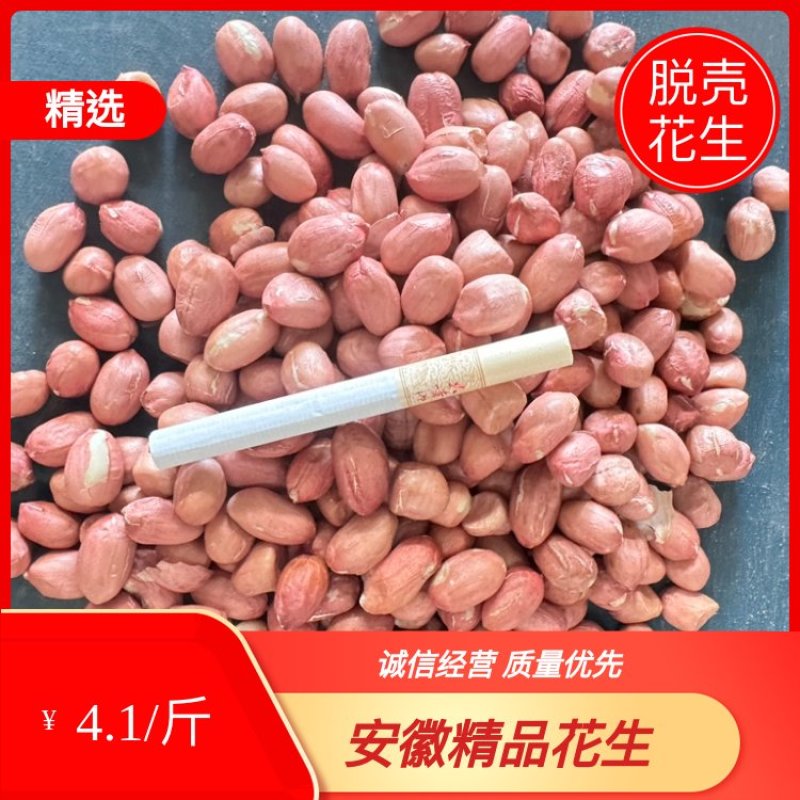 【安徽精品】鲁花八号小白沙，现货量大从优，已脱壳打包