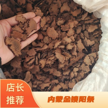 内蒙金锁阳条片各个规格都有产地直发价格优惠