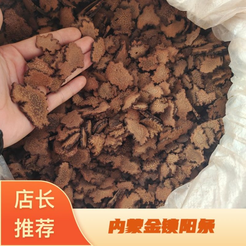 内蒙金锁阳条片各个规格都有产地直发价格优惠