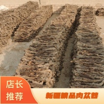 牧民自己的新疆精品肉苁蓉条子什么规格都有有大货