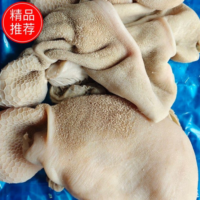 厂家直销一手货源保质保量，全熟黄毛肚适合各种餐饮店