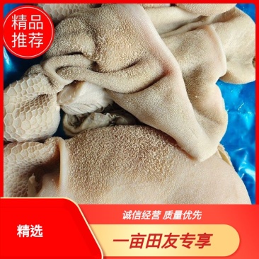 厂家直销一手货源保质保量，全熟黄毛肚适合各种餐饮店