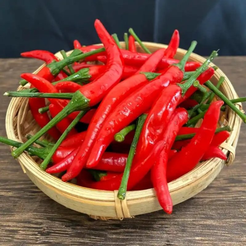 【热卖】广东湛江，海南一级，二级小米椒量大质优价格优惠