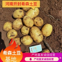 精品希森6号土豆黄皮黄心产地直发质量保证全国发货