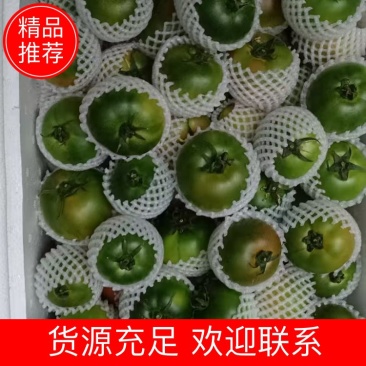 辽宁草莓柿子大量上市货源充足口感好现摘现发诚信经营