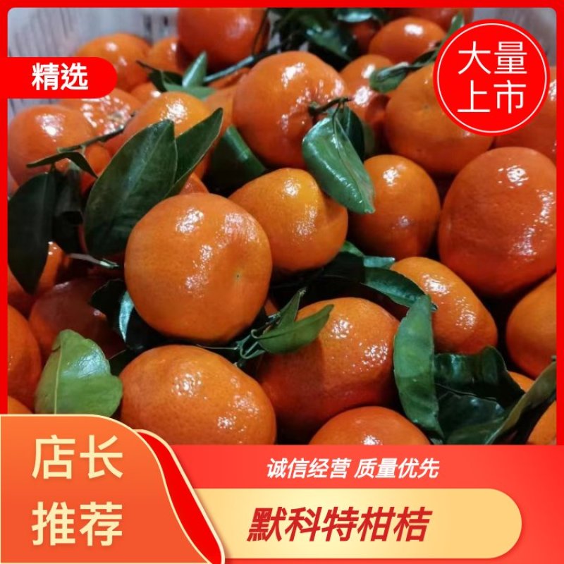 默科特大量上市，质优价美，服务完善，走货便利欢迎咨询