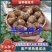 芋头种8520脱毒高产提供种植技术保证质量全国发货