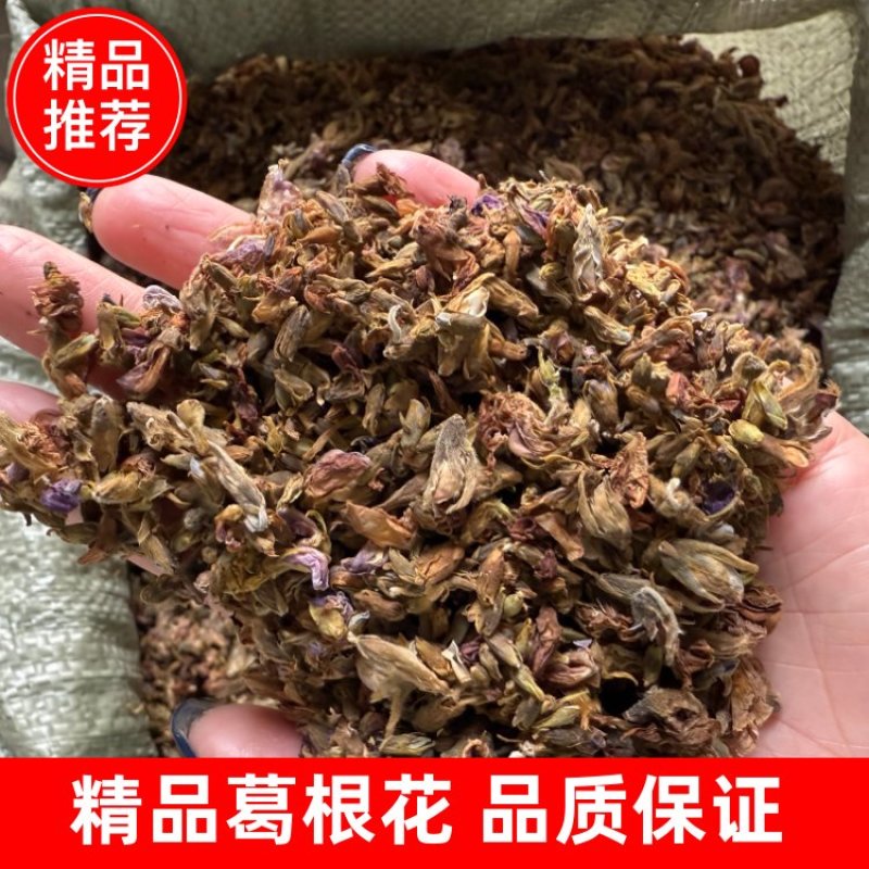葛根花，全国供货，量大从优，可视频看货，欢迎选购