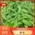 四川攀枝花精品河南豆豌豆片儿，欢迎全国批发商联系