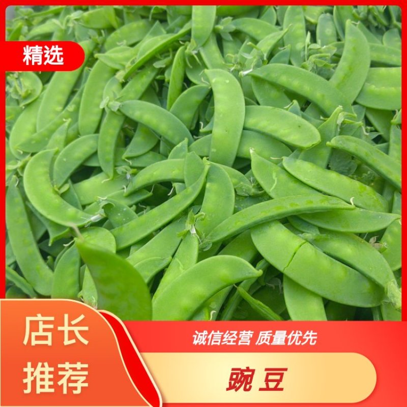 四川攀枝花精品河南豆豌豆片儿，欢迎全国批发商联系