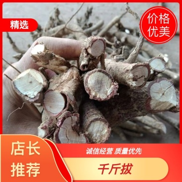 云南野生小叶千斤拔，又称独根要货的大佬联系