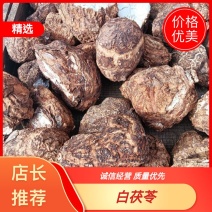 无硫白茯苓水洗带皮整个干货，支持批发零售自然晒干个子茯苓