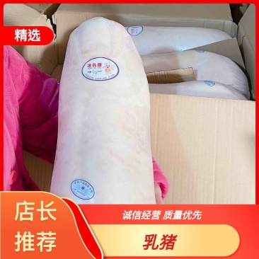 茶猪乳猪厂家货源价格优惠品质保证欢迎全国老板合作