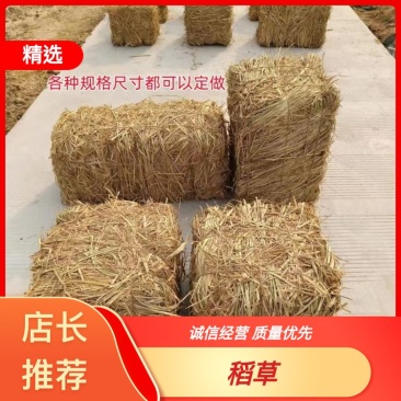 稻草揉丝稻草，铡段稻草，手把草，长稻草，治沙稻草