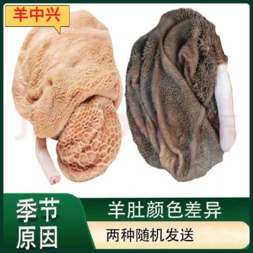 掉毛羊毛肚，厂家直销，对接批发商，诚信经营