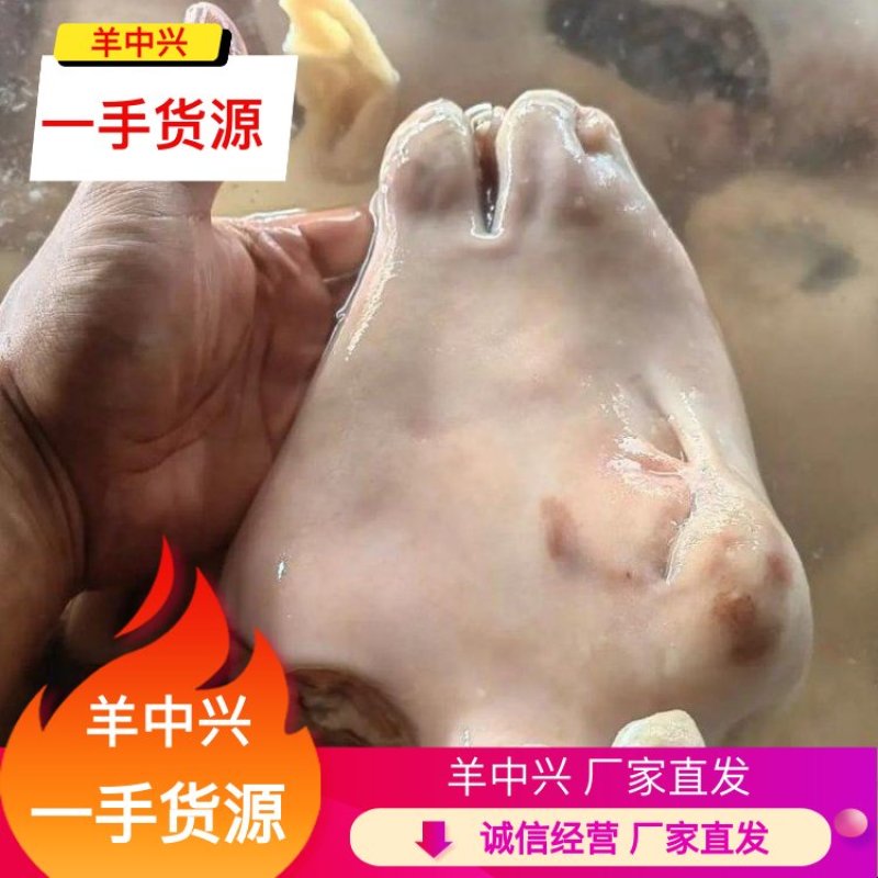 精品水退羊头，厂家直销，对接批发商，长期合作