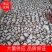 【一件代发】茯神茯苓大量供应品质保证量大从优欢迎来电