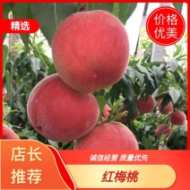 产地大棚红梅水蜜桃对接市场奶茶电商加工，各种规格