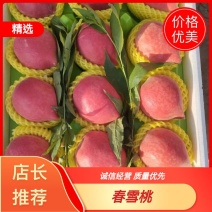 春雪桃精品手感桃承接市场商超电商奶茶打浆切瓣