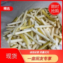 广东英德麻竹笋精品长笋条，泡椒笋原料产地直供