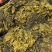 腌制花叶雪里红基地直销量大质优价优一手货源欢迎咨询采购