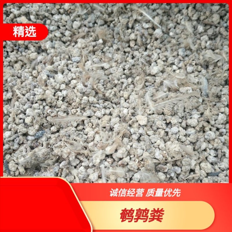 河南水泥地干鹌鹑粪，富含有机肥氮磷钾等微量元素，改善土质
