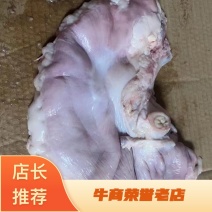 鲜猪肚（厂家直销）国产肥猪鲜猪肚，物美廉价，鲜货包邮