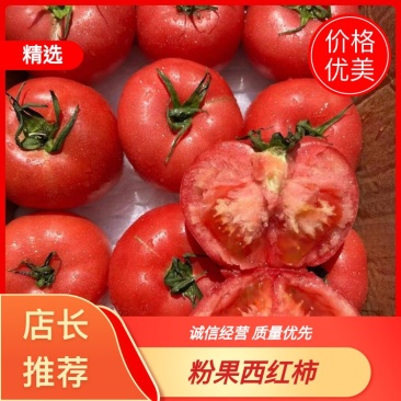 米易西红柿大量上市全国发货打包找车一条龙服务