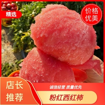 【米易西红柿】精品沙瓤西红柿粉果西红柿全国发货