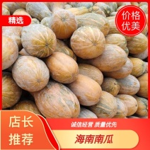 海南老南瓜，诚信经营，欢迎全国采购商致电
