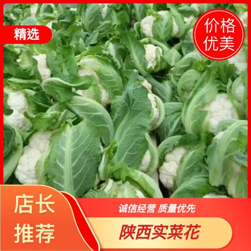 加工厂货，汉中白面实花货源稳定以质论价电话洽谈市场商超电