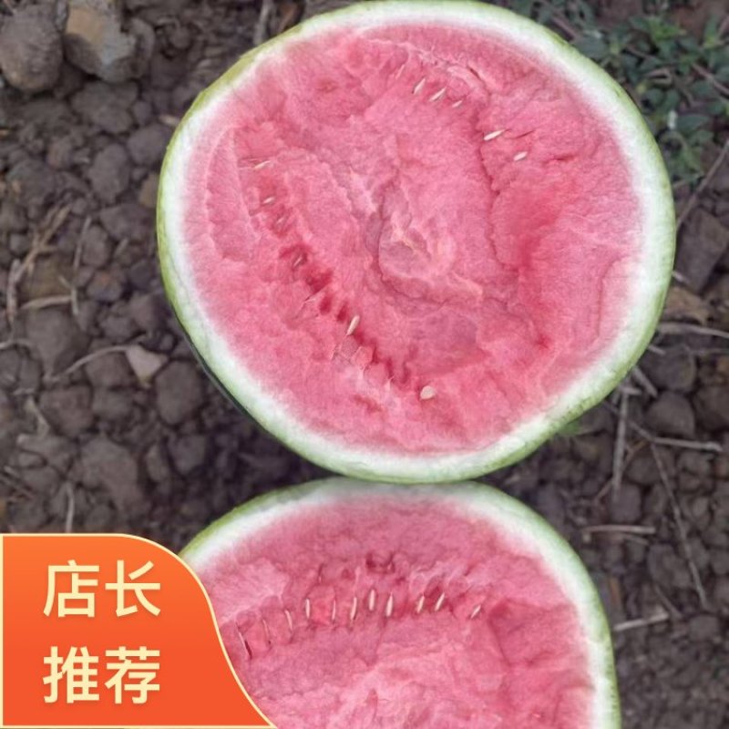 【优质推荐】麒麟西瓜口感脆甜保质保量实力代办的全国代办代发