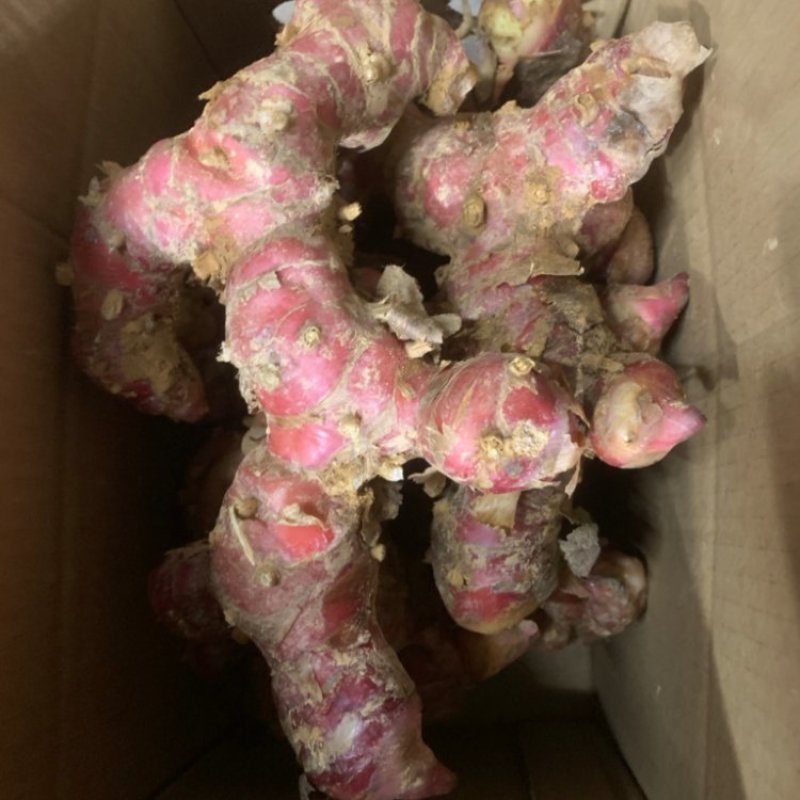 山姜南姜高品质大量供货，价格优惠需要的老板可以联系咨询