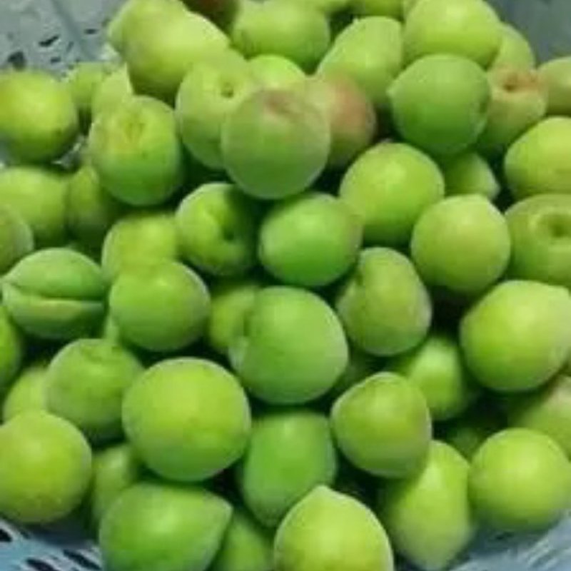 潮汕梅子青竹梅小白梅腌制泡酒精品货通货都有大量现货可联系