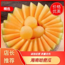 海南哈密瓜支持电商一件代发社区团购商超