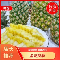海南金钻凤梨大量供应对接电商社区团购商超电商一件代发等