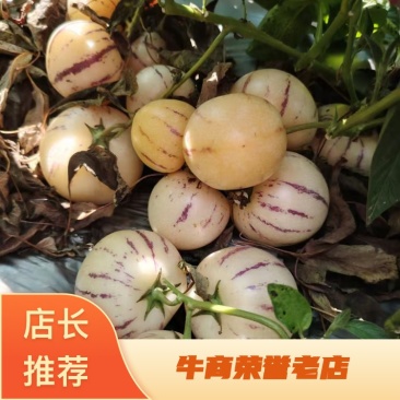 攀枝花人参果专业代办品质保证对接市场商超电商