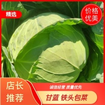 云南曲靖麒麟区甘蓝，市场货、工厂货、电商货大量供应
