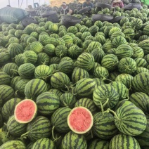 【热卖推荐】精品头茬美都西瓜产地直销量大质优价格优惠
