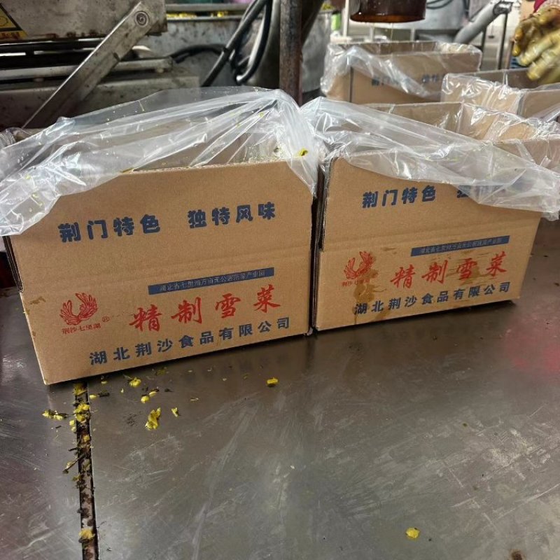 精品雪菜雪里红基地直销量大质优价格优惠欢迎咨询采购