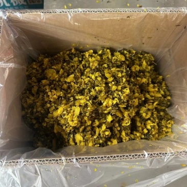 精品雪菜雪里红基地直销量大质优价格优惠欢迎咨询采购