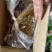 一点红油豆角量大质优基地直销支持视频看货欢迎前来采购