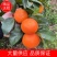 沃柑四川沃柑皮薄多汁大量供应品质保证代发全国