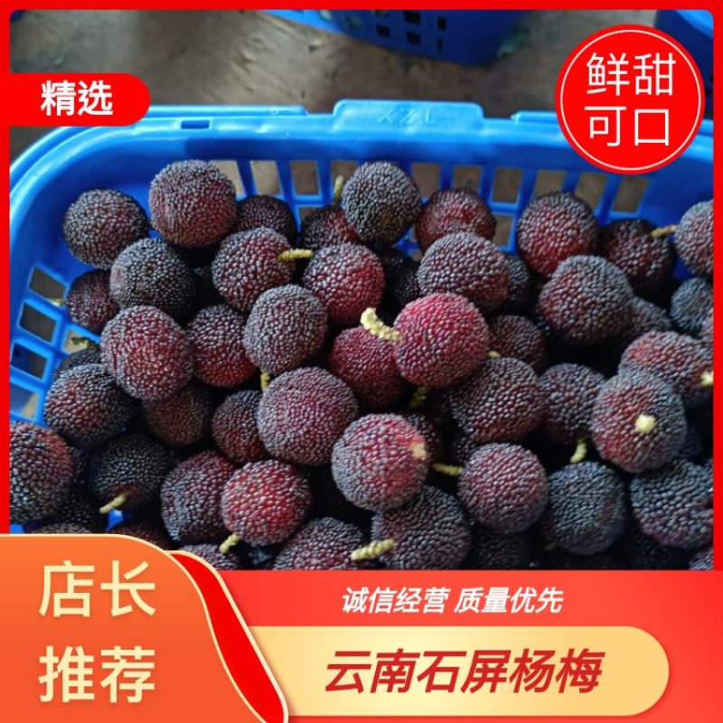 云南省红河哈尼族彝族石屏县精品杨梅代收代发需要的联系。