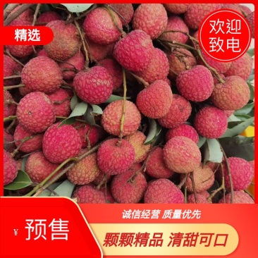 精品荔枝，果园现摘，颗颗精选，清甜锁喉，欢迎电话联系！