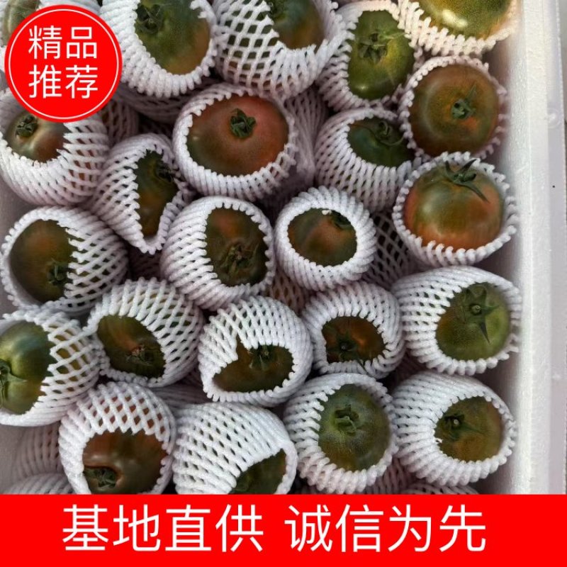 广东茂名精品口感番茄产地一手货源全国可发对接商超